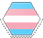 trans